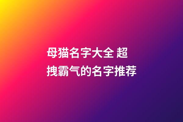 母猫名字大全 超拽霸气的名字推荐